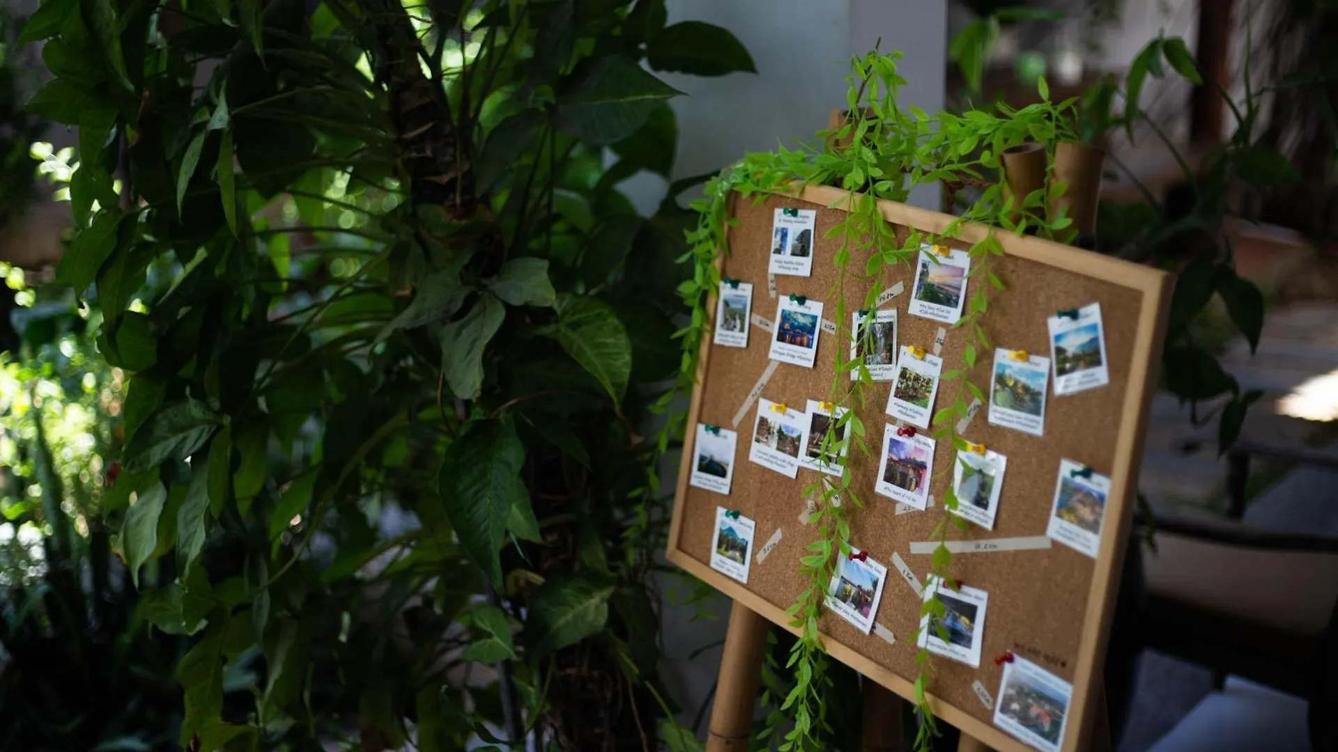 Hoi An Fairy Garden Villa Hoi An